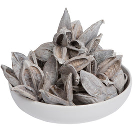 3"-4" Dried and Preserved White Wash Sora Pods 25-Pack