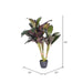 T160930 Decor/Faux Florals/Plants & Trees