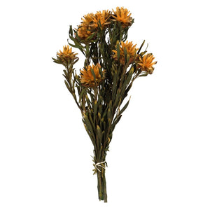 H1PMF750-1 Decor/Faux Florals/Floral Arrangements