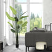 TB190870 Decor/Faux Florals/Plants & Trees