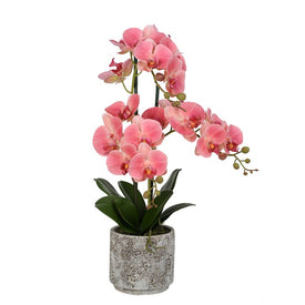 24" Artificial Pink Phalaenopsis with Real Touch Leaves in Cement Pot