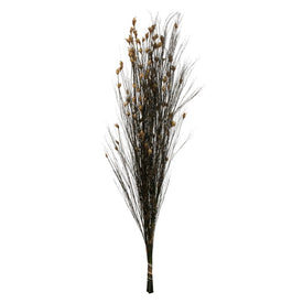 36"-40" Dried and Preserved Bell Grass with Natural Pod 16 oz