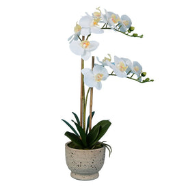 24.5" Artificial White Phalaenopsis with Real Touch Leaves in Cement Pot