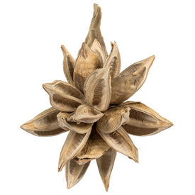 6"-11" Dried and Preserved Bleached Star Pods 2-Pack