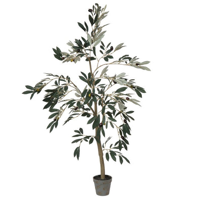 Product Image: TB180548 Decor/Faux Florals/Plants & Trees