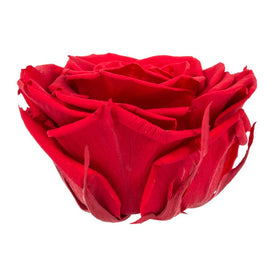 3.5"-4" Red Premium Rose Heads 4 Per Box