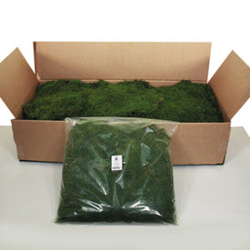 Dried and Preserved Green Moss Sheet 1.1 Lbs Per Bag