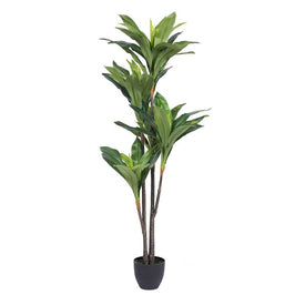 60" Artificial Dracaena with 68 Real Touch Leaves in Plastic Pot