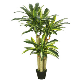52" Artificial Green and Yellow Dracaena Tree with Real Touch Leaves in Plastic Pot