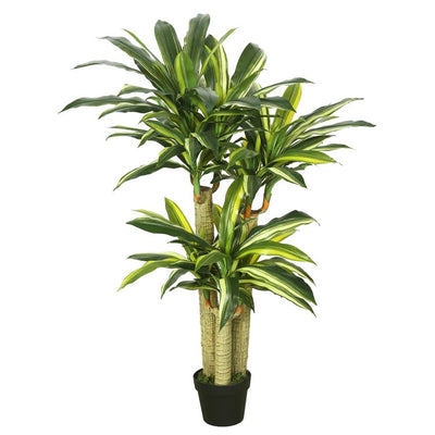 Product Image: TA170601 Decor/Faux Florals/Plants & Trees