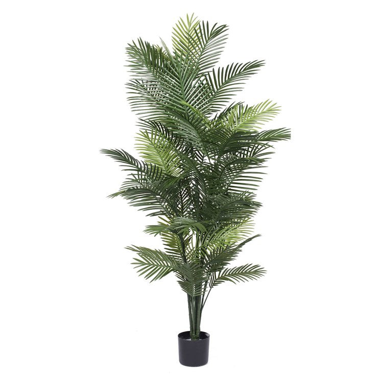 Product Image: T160872 Decor/Faux Florals/Plants & Trees