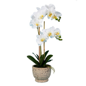 23" Artificial White Phalaenopsis with Real Touch Leaves in Ceramic Pot