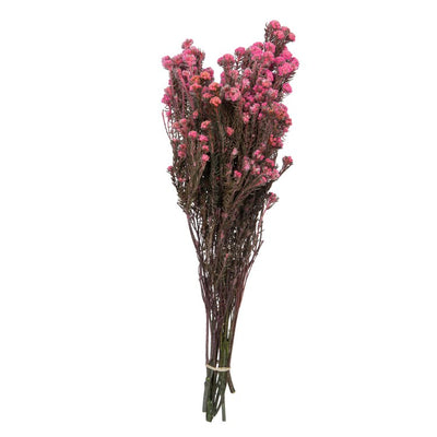 Product Image: H1COT405-2 Decor/Faux Florals/Floral Arrangements