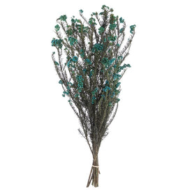 14"-16" Dried and Preserved Blue Rice Flower 9.5 oz Bundle