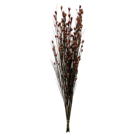 36"-40" Dried and Preserved Bell Grass with Merlot Pod Bundle