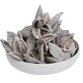 3"-4" Dried and Preserved White Wash Sora Pods 250 Per Bulk Case