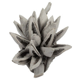 6"-11" Dried and Preserved Gray Wash Star Pods 2-Pack