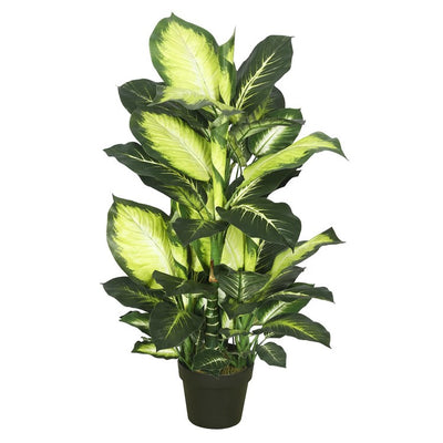 Product Image: TA170201 Decor/Faux Florals/Plants & Trees