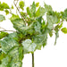 FZ192472 Decor/Faux Florals/Plants & Trees