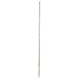60" Natural Bamboo Reed Branches 100-Pack