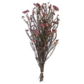 14"-16" Dried and Preserved Purple Orchid Rice Flower 9.5 oz Bundle