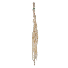 30"-34" Dried and Preserved White Amaranthus 7 oz Bundle