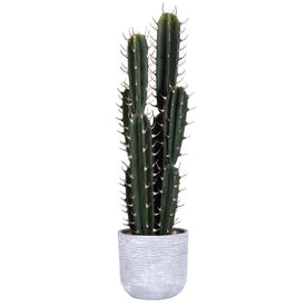 Vickerman 27.5" Artificial Green Cactus Plant.