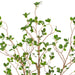 FU191648 Decor/Faux Florals/Plants & Trees