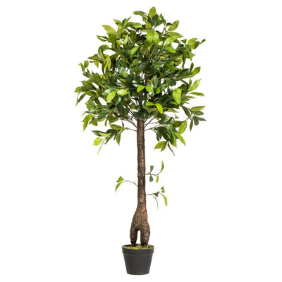 Product Image: T161250 Decor/Faux Florals/Plants & Trees