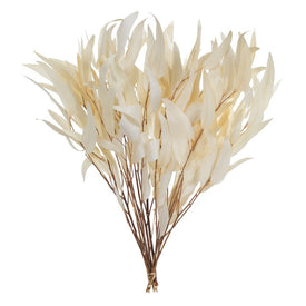 18"-20" Dried and Preserved Bleached Willow Eucalyptus 3.5 oz 2-Pack