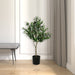 FH190340 Decor/Faux Florals/Plants & Trees