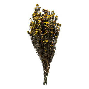 H1PHY725-2 Decor/Faux Florals/Floral Arrangements