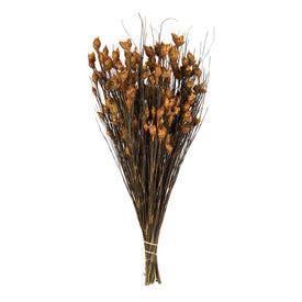 15"-20" Dried and Preserved Bell Grass with Aspen Pods 10 oz