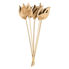 16" Dried and Preserved Bleached Sora Pod Stems 10-Pack