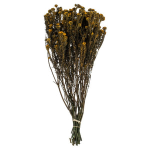 H1COT725-2 Decor/Faux Florals/Floral Arrangements