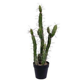 24" Artificial Green Cactus in Plastic Pot