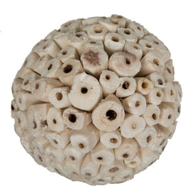 4" Dried and Preserved Sola Ata Balls 25-Pack