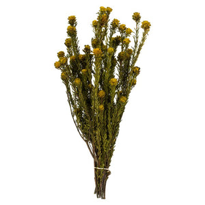 H1TOF700-2 Decor/Faux Florals/Floral Arrangements
