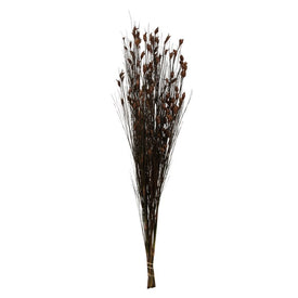 36"-40" Dried and Preserved Bell Grass with Brown Pod Bundle