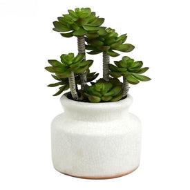11" Artificial Green Succulent in Round Ceramic Pot