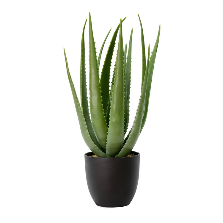 Product Image: FO182301 Decor/Faux Florals/Plants & Trees