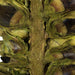 H2GSH100 Decor/Faux Florals/Floral Arrangements