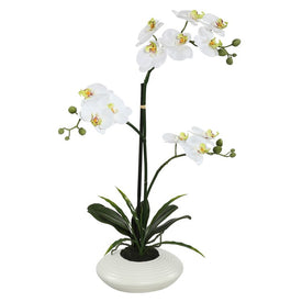 25" Artificial White Orchid in Ceramic Pot