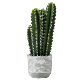 17" Artificial Green Cactus in Concrete Pot