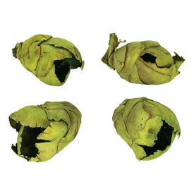 2"-3" Dried and Preserved Basil Cacho Pods 60 Per Case