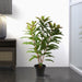 TA181434 Decor/Faux Florals/Plants & Trees