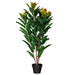 TA181434 Decor/Faux Florals/Plants & Trees