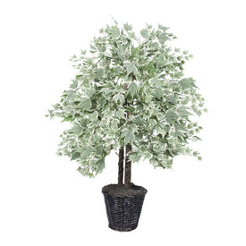 4' Artificial Silver Maple Bush in Rattan Basket