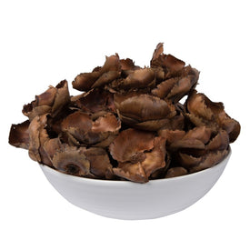 2.75"-3.6" Dried and Preserved Natural Palm Caps 100-Pack
