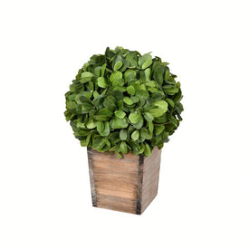 11" Artificial Boxwood Ball in Wood Pot